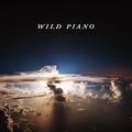 WILD PIANO