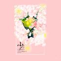 小苍兰(freesia)专辑