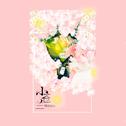 小苍兰(freesia)专辑