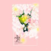 小蒼蘭（Freesia）中文版（Cover 脸红的思春期）