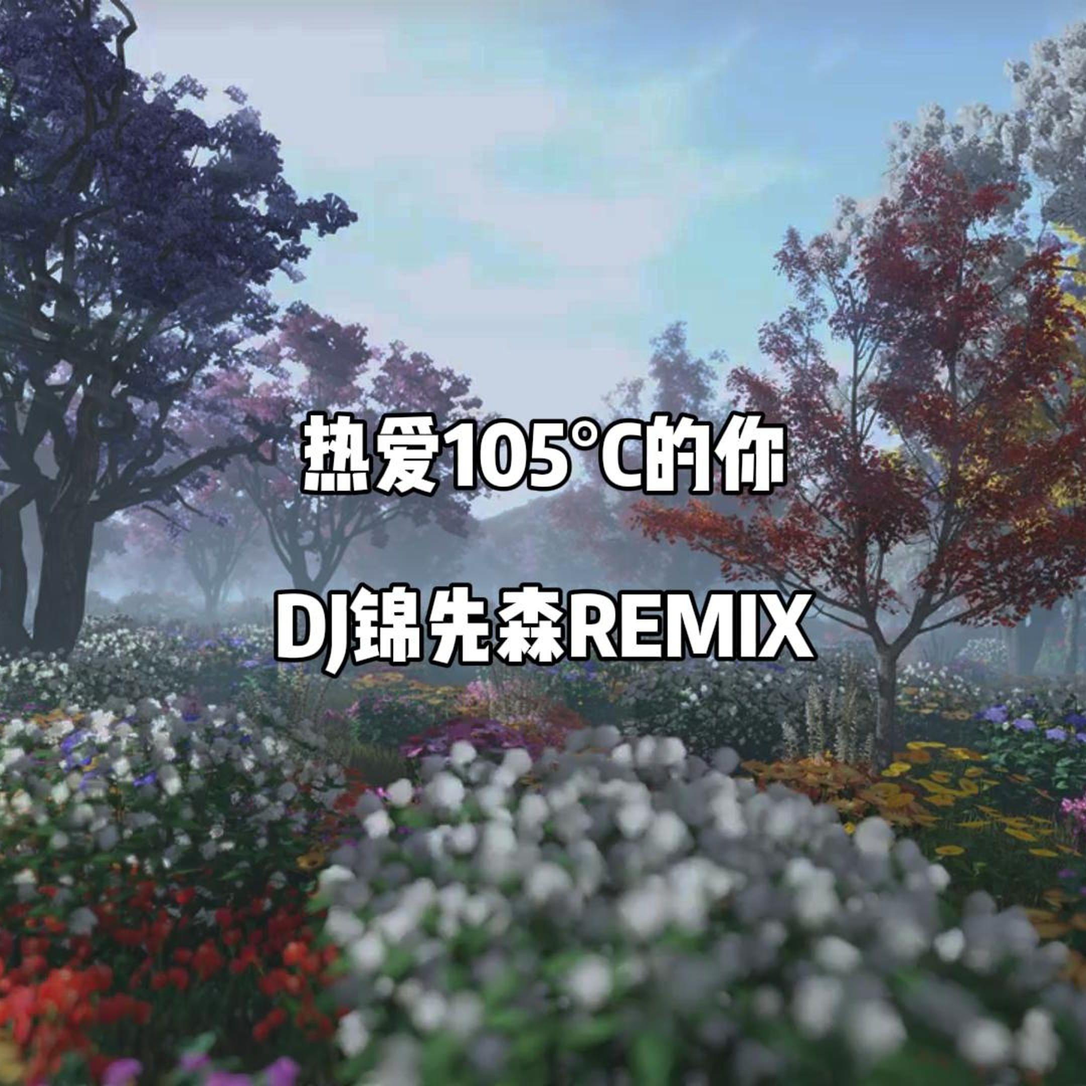 热爱105°C的你（DJ锦先森 Remix）