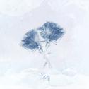 不结专辑