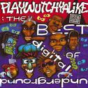 The Best Of Digital Underground: Playwutchyalike专辑