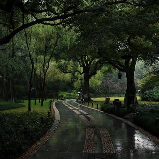 百听不腻/纯音乐/英文歌