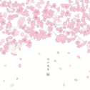 桜(2013 NEW REMASTER)专辑