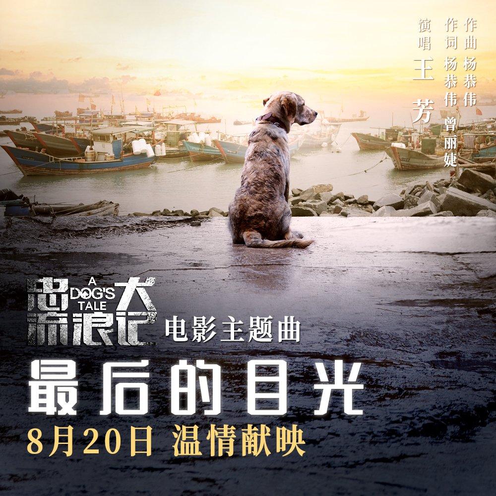 电影《忠犬流浪记》主题曲