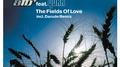 The Fields of Love - Remixes专辑