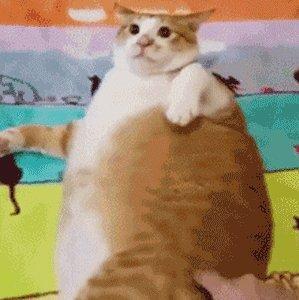 大果粒粒V的BGM(测试服)