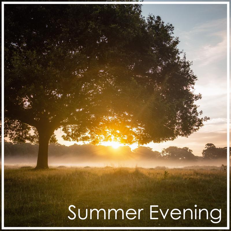 !Satie: Summer Evening