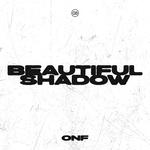 Beautiful Shadow专辑