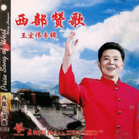 再见了大别山 - 王宏伟