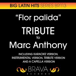 Marc Anthony - Flor Palida （升8半音）