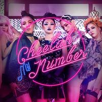 Cheetah - My Number Instrumental