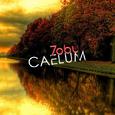 Caelum