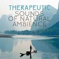 Therapeutic Sounds of Natural Ambience