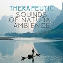 Therapeutic Sounds of Natural Ambience专辑