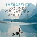 Therapeutic Sounds of Natural Ambience专辑