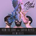  How To Love (Remixes)