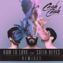  How To Love (Remixes)专辑