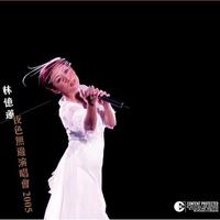 林忆莲 - 细水长流(05年演唱会版)
