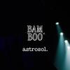 Bamboo Br - Astrosol