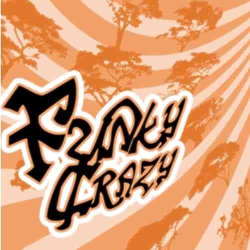 Funky Crazy专辑