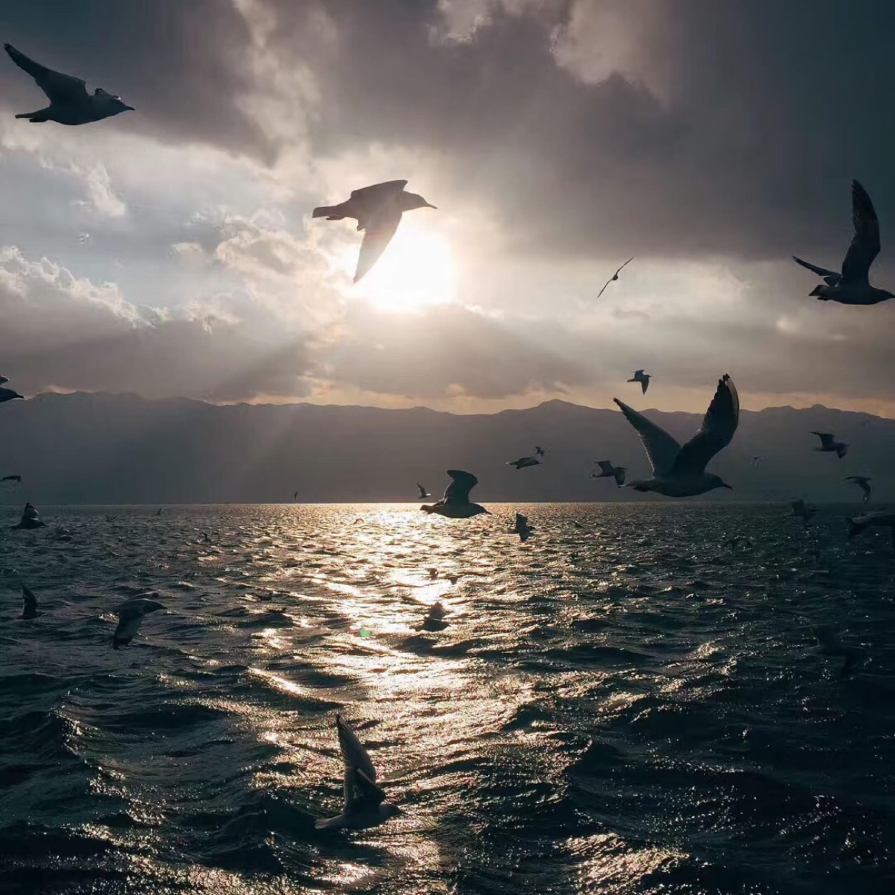 Fading Frames(Slowed)