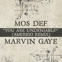 You Are Undeniable (Amerigo Remix)