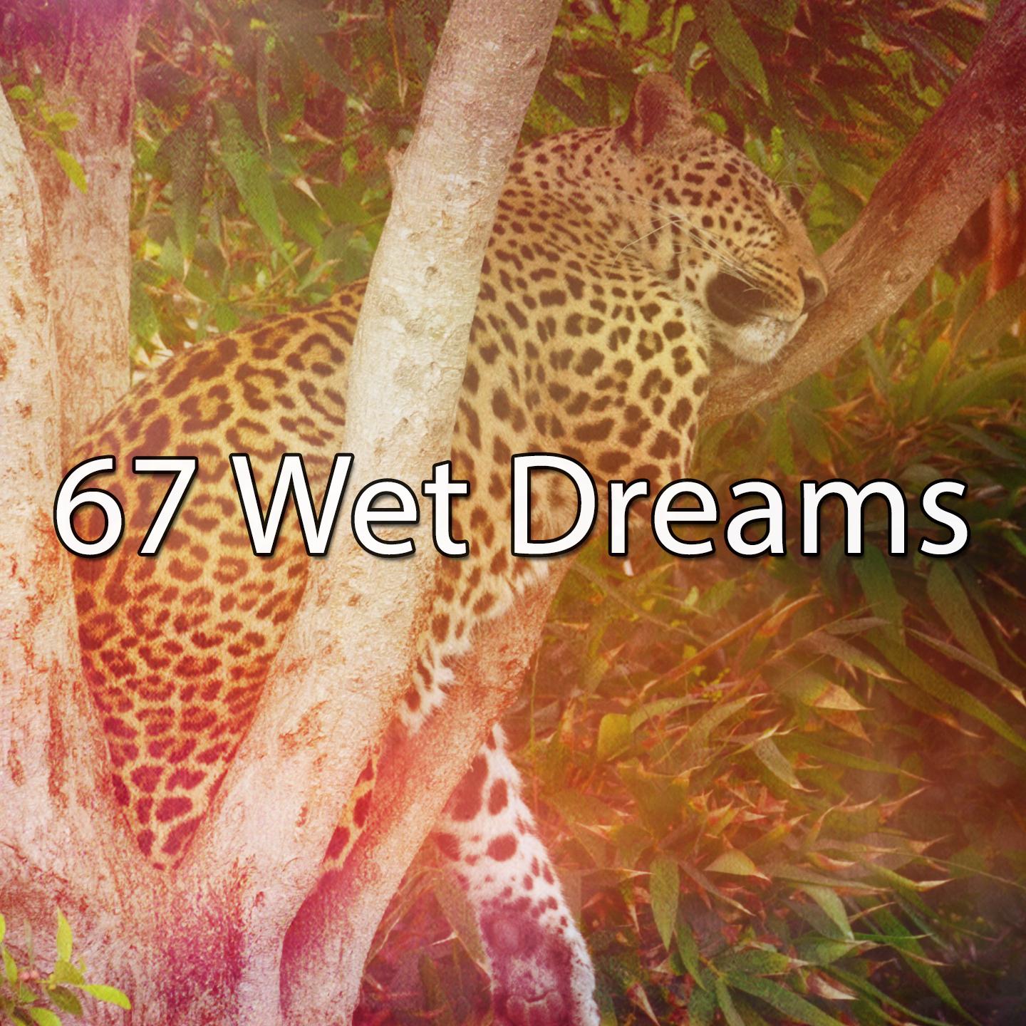 67 Wet Dreams专辑