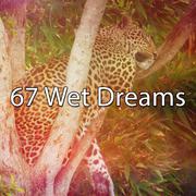 67 Wet Dreams