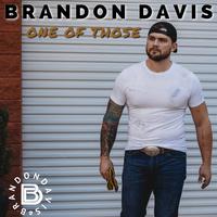 Brandon Davis -  One of Those (BB Instrumental) 无和声伴奏