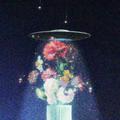 花藥FleursDuMal
