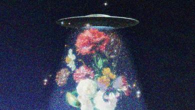 花藥FleursDuMal