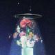 花藥FleursDuMal