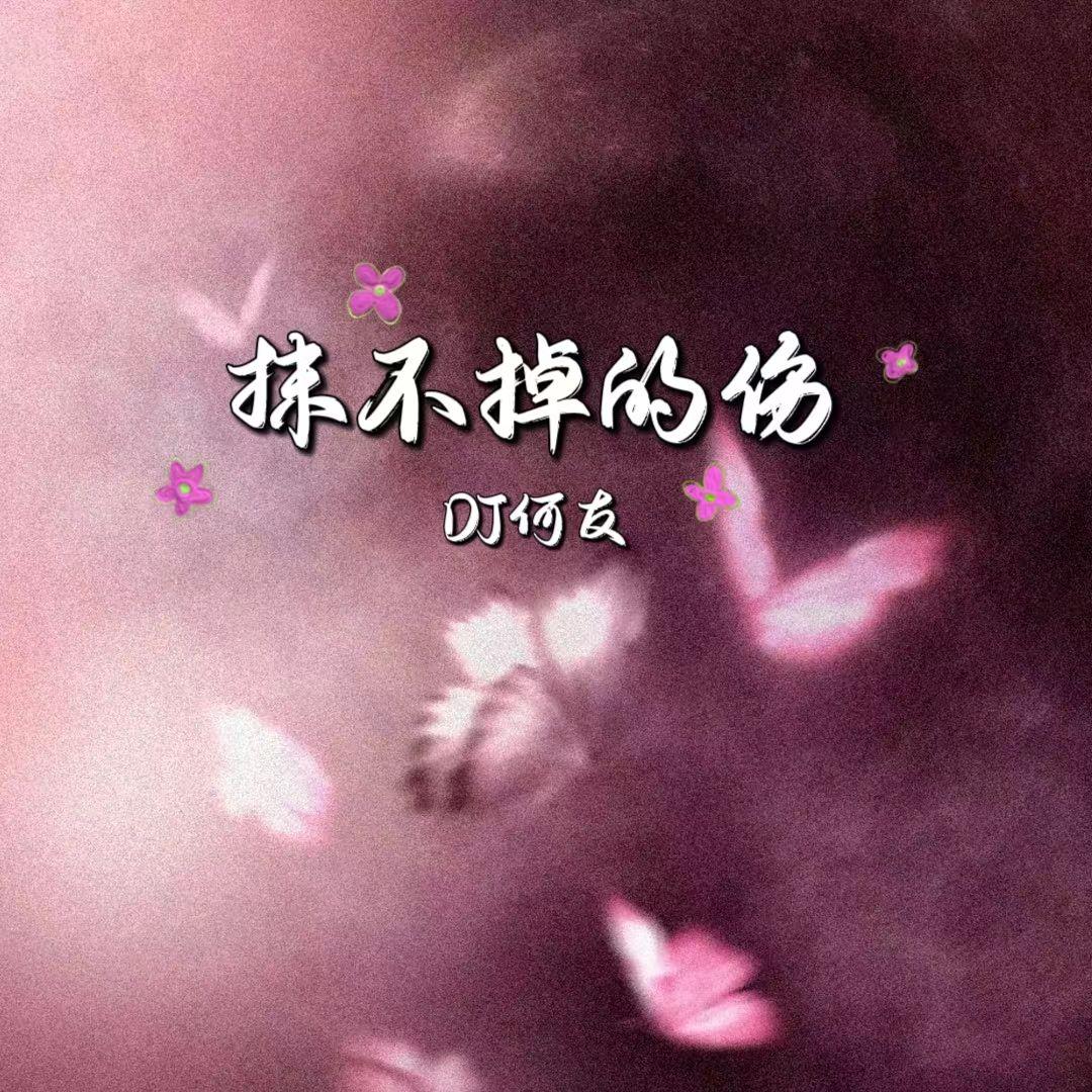 小阿玲 - 抹不掉的伤（DJ何友版）