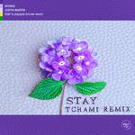 Stay (feat. Dalilah) - Tchami Remix专辑