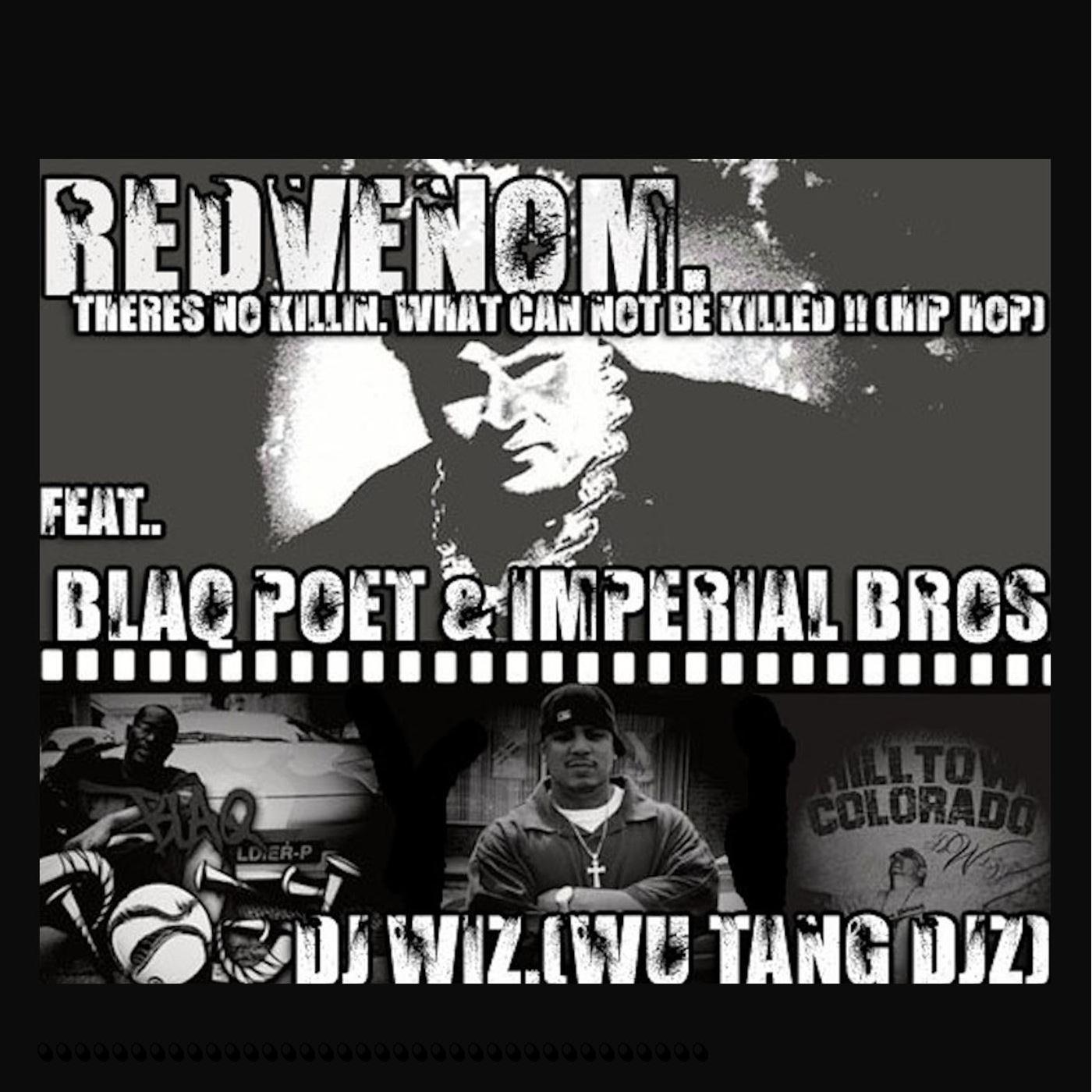 There Ant No Killing (feat. Blaq Poet, DJ WIZ & Imperial Brotheres)