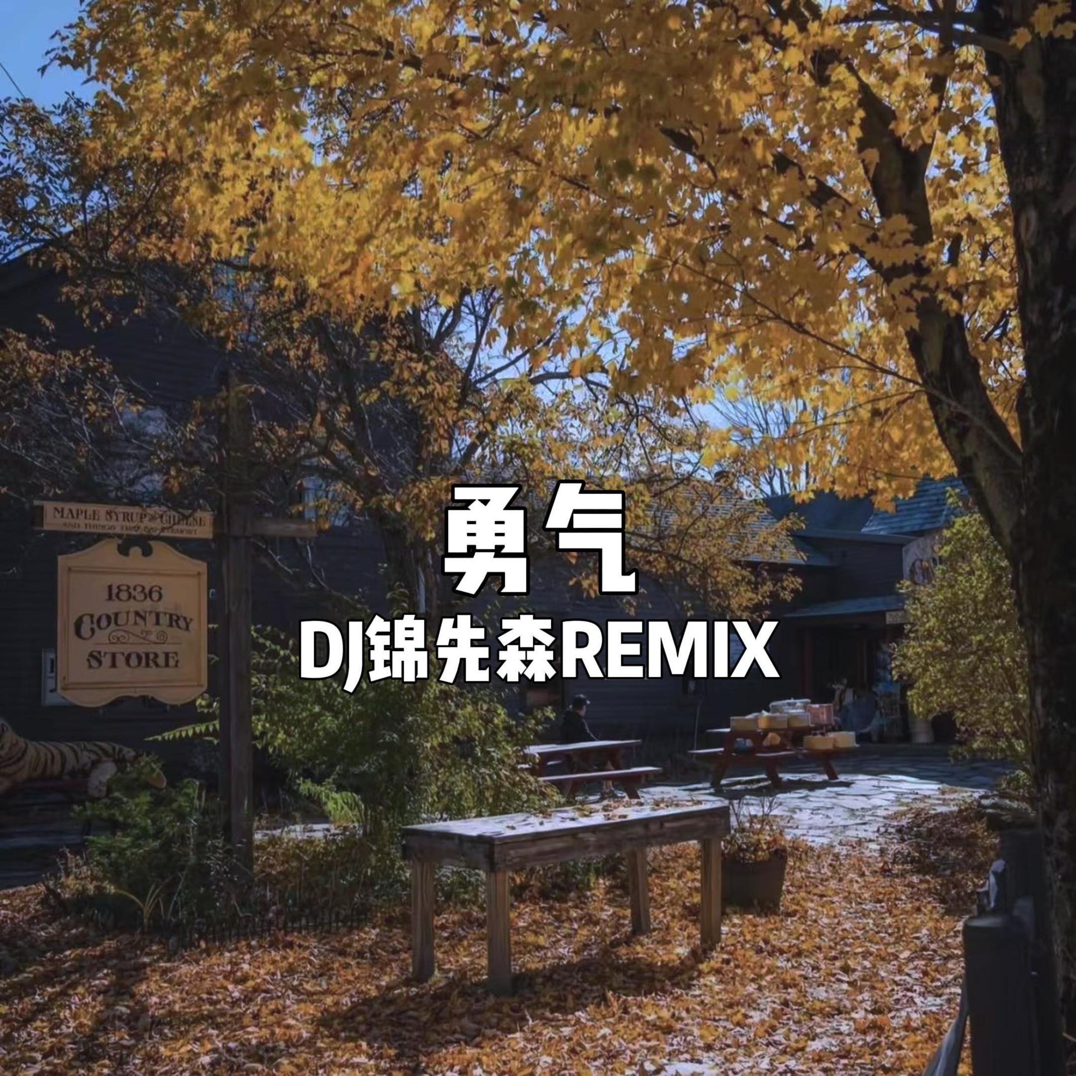 勇气（DJ锦先森 Remix）