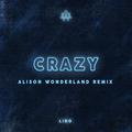 Crazy (Alison Wonderland Remix)