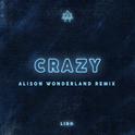 Crazy (Alison Wonderland Remix)专辑