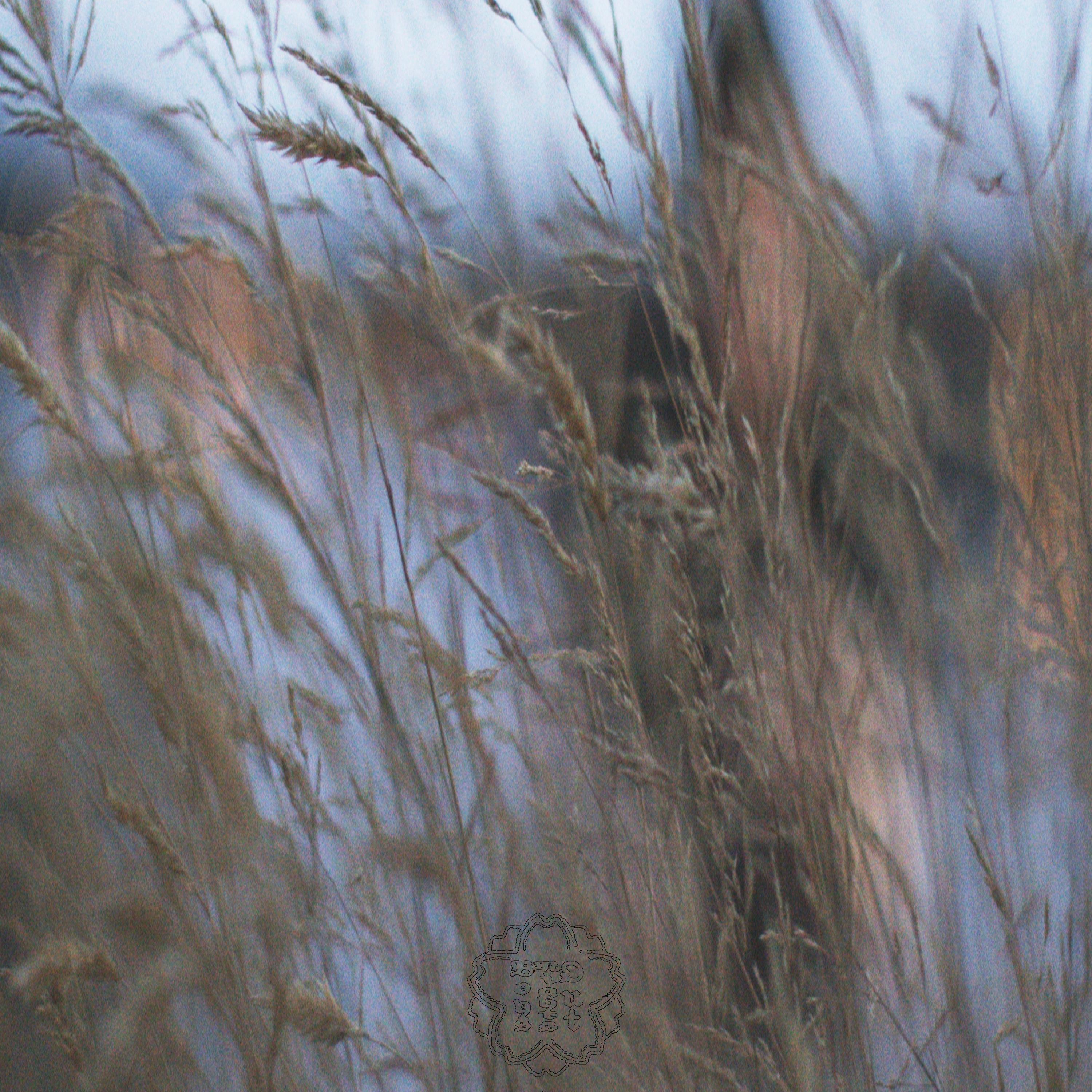 Wisher (feat. With3r)