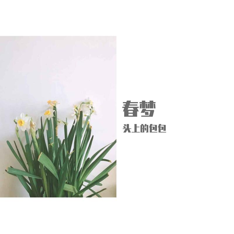 春梦