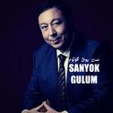 Sen Yoq Gulum 《我的花儿》 2010版专辑