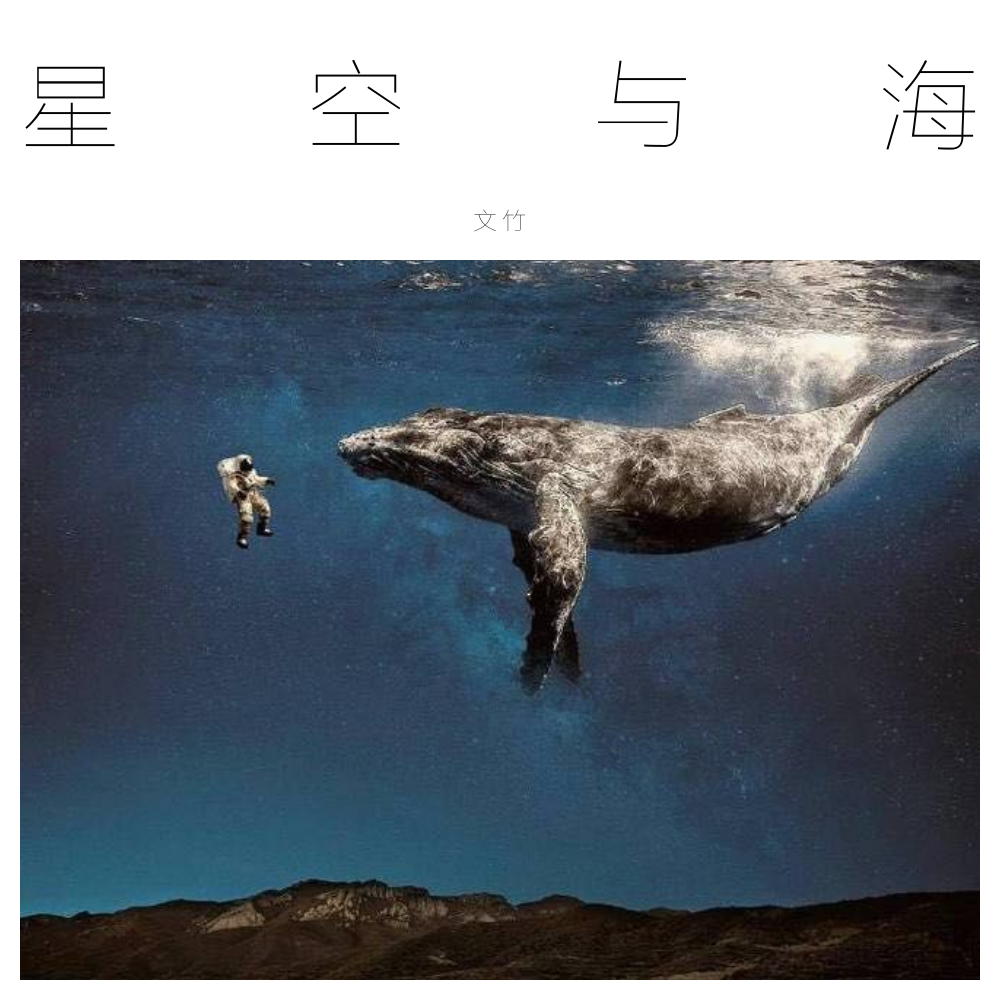 星空与海专辑