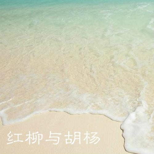 红柳与胡杨