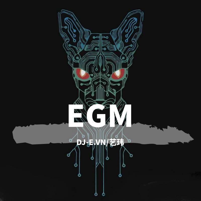 EGM-(EDM)抖音热歌MASH UP（DJ-E.VN/艺玮 remix）