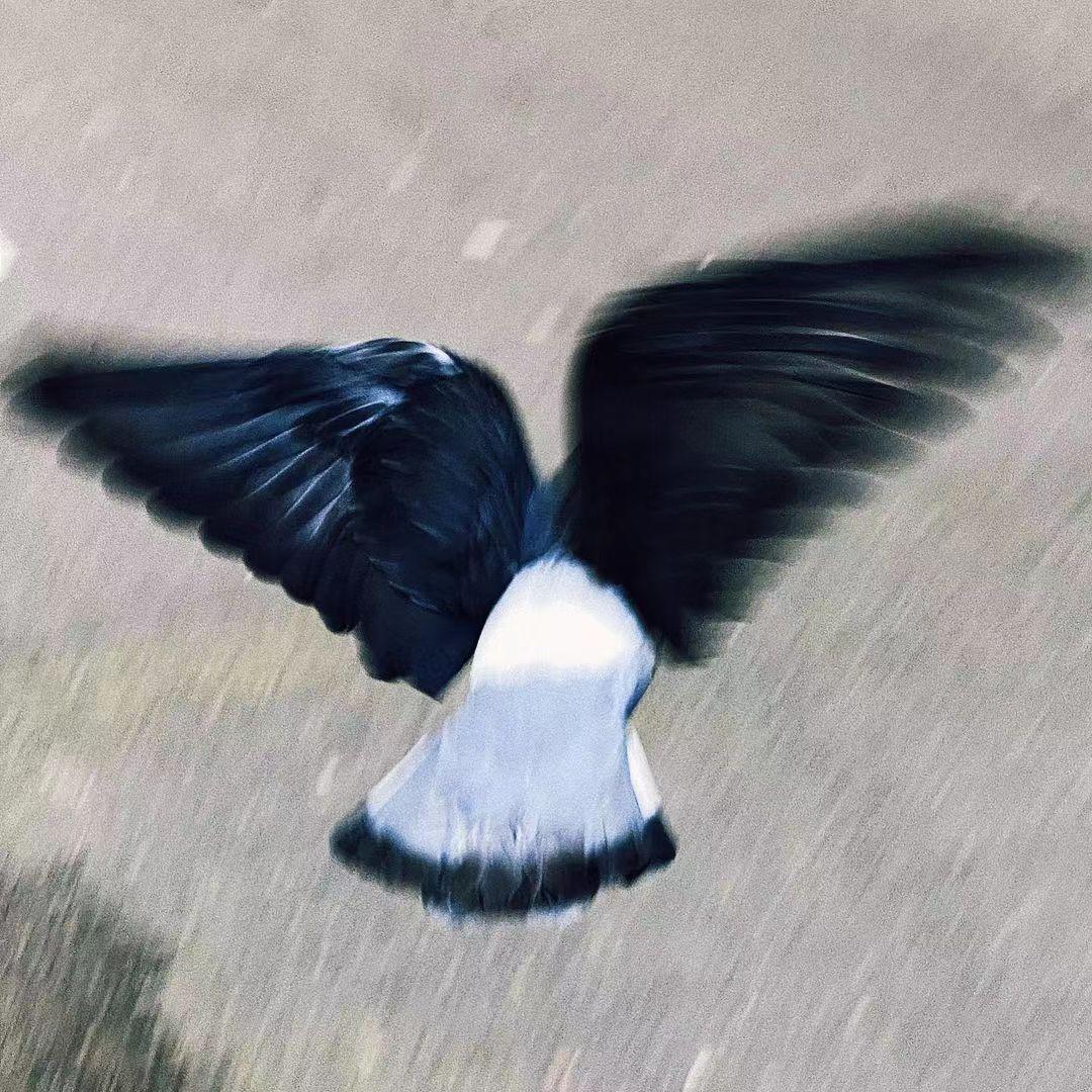 ''响尾蛇'' Young Thug x Wheezy Type Beat