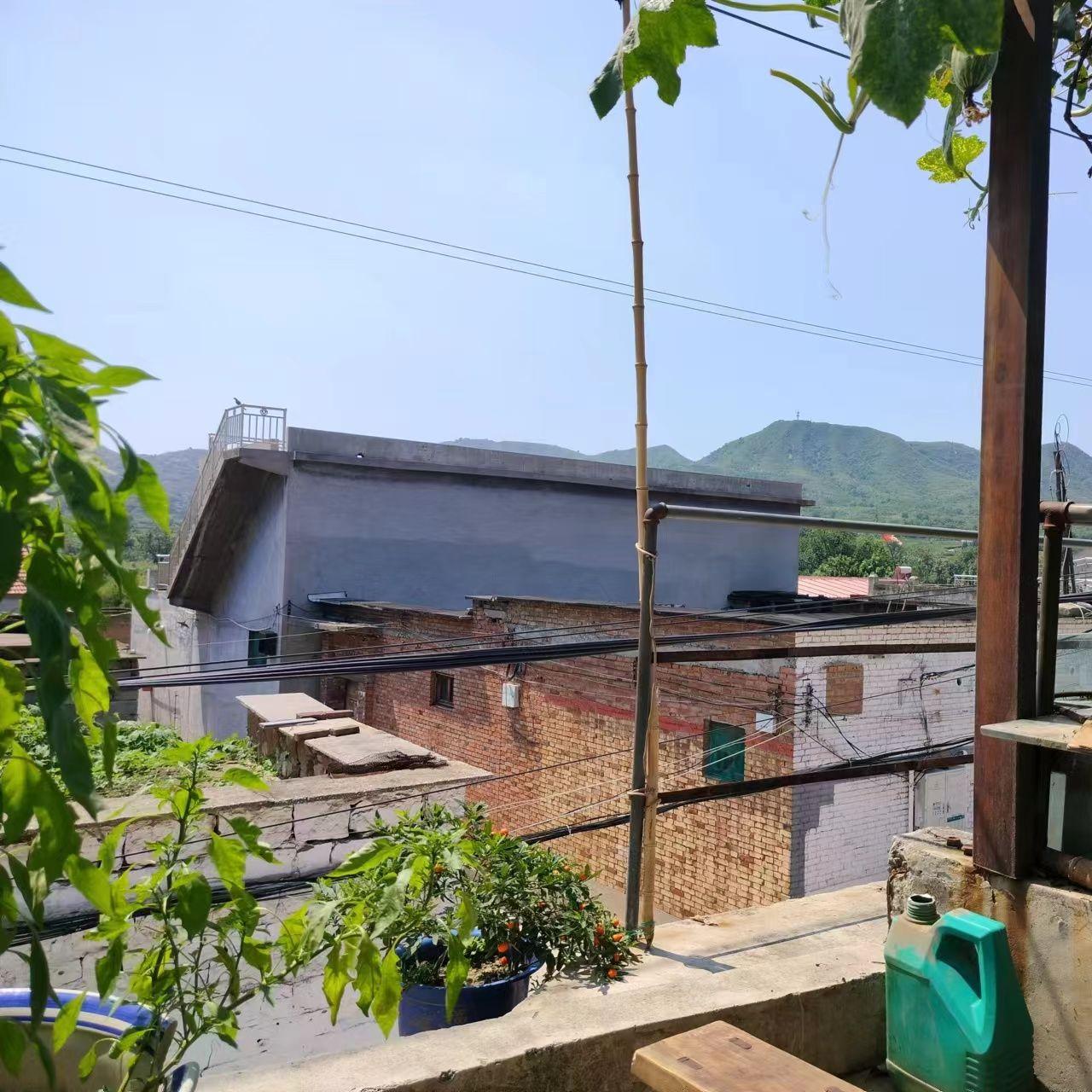 净土