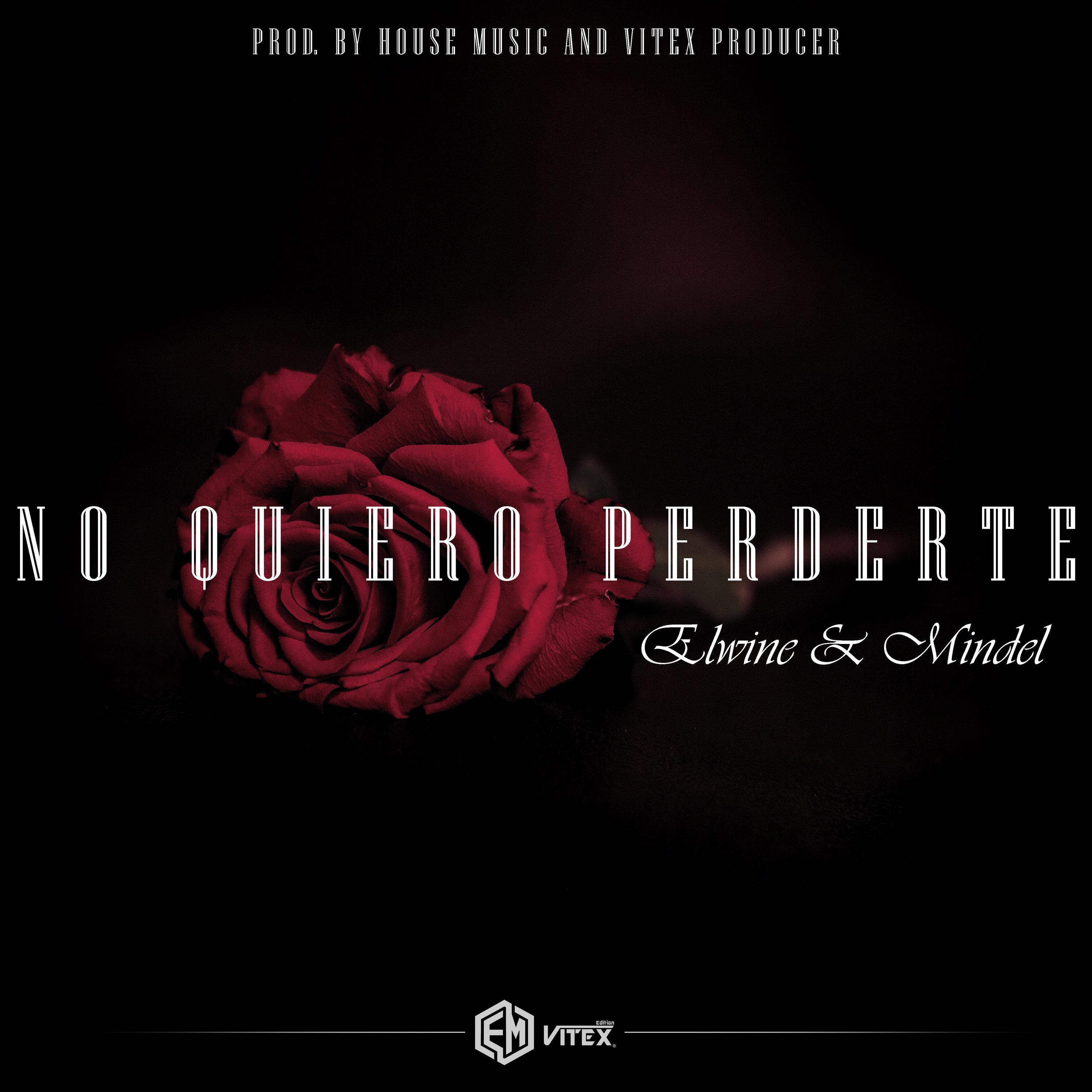 No Quiero Perderte