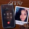 Milestone - Call To PJ